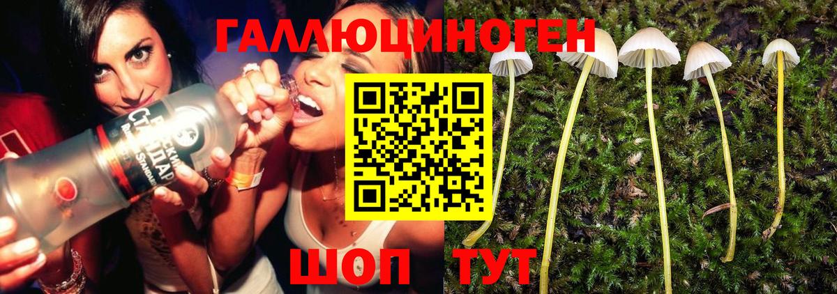 Псилоцибиновые грибы ЛСД Югорск
