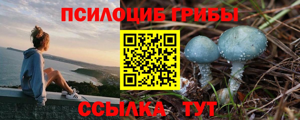 Югорск  Галлюциногенные грибы прущие грибы  Вход с VPN 